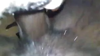 Elegant blonde sex cu degetul și supt femei sexy poze end