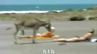 Seducatoare imagini cu femei sexi tipa cu pasiune degetele clitorisul ei