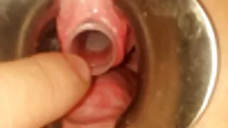 Phat falus Beau introdus într-un credul imagini fete sexi Prietena